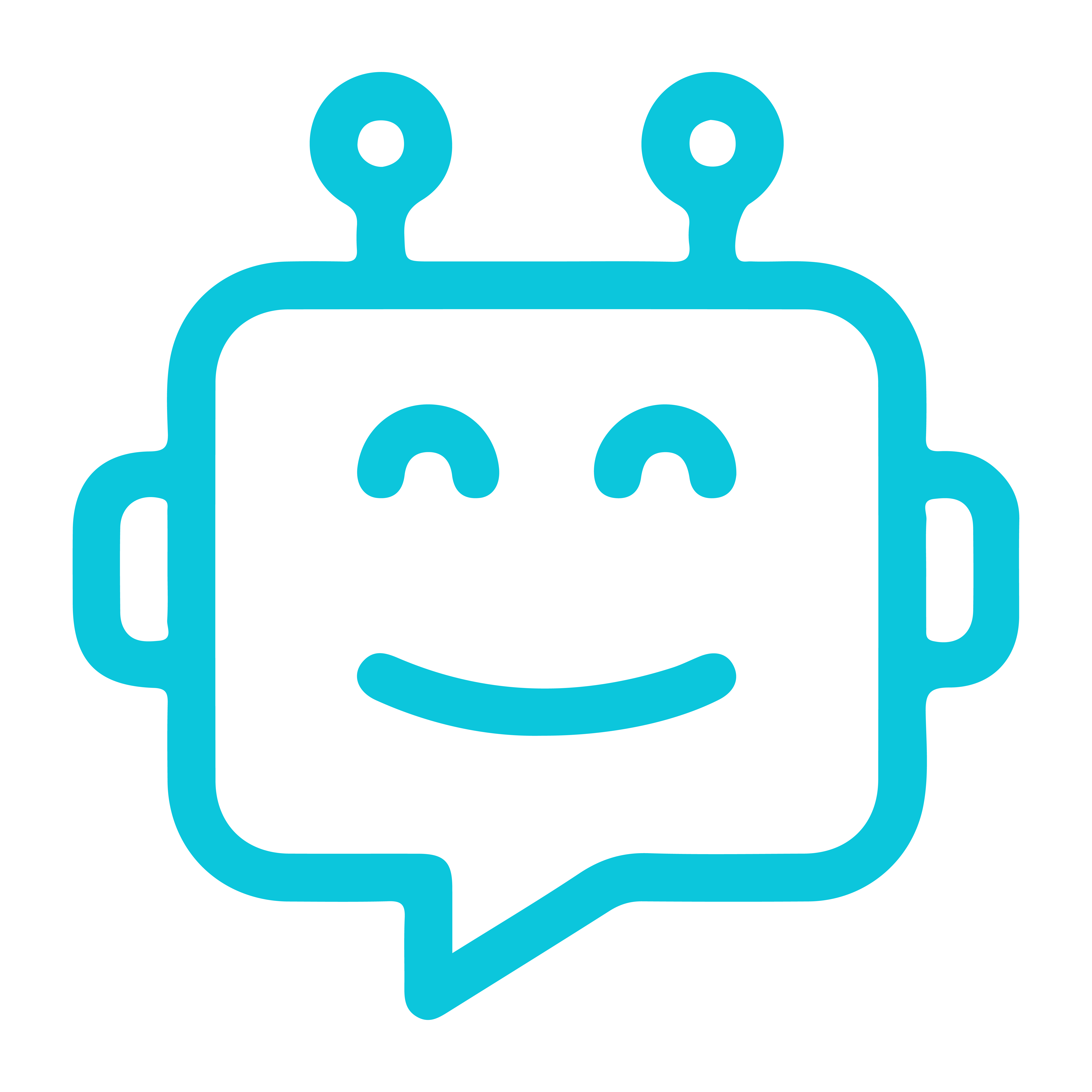 BOT Mesa de trabajo 1