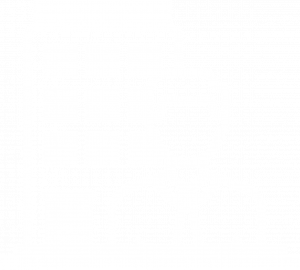 BUSINESS2