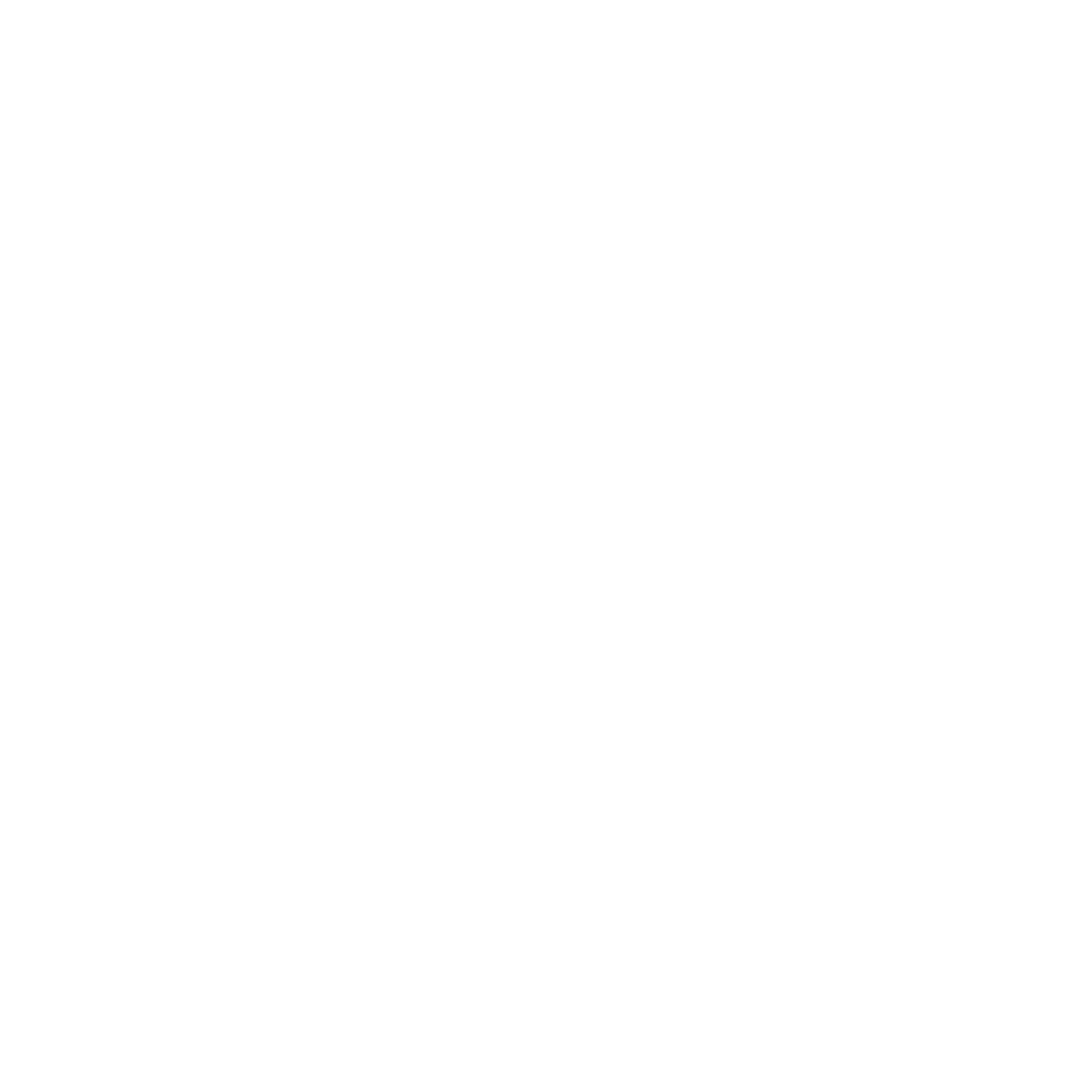 ENCUESTRAS 03