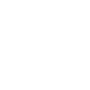 ICONOS 03