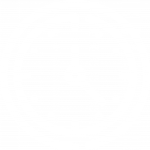 RELOG